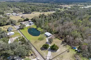 323 McLain Ln, Geneva, FL 32732 - Photo 60