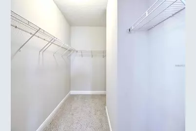 11539 Brickyard Pond Lane, Windermere, FL 34786 - Photo 52