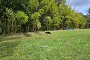 2002 Pine Ct, Deland, FL 32720 - Photo 50