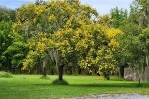 2002 Pine Ct, Deland, FL 32720 - Photo 48