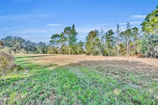 3136 Crystal Creek Blvd, Orlando, FL 32837 - Photo 46