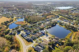 3250 Helmel Ct, Land O Lakes, FL 34638 - Photo 52