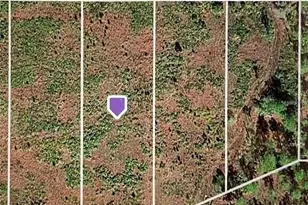 0 Althea Dr, Lake Wales, FL 33898 - Photo 1