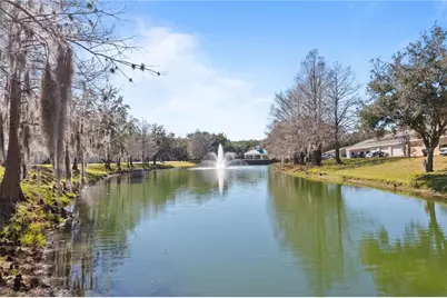 8804 Danforth Drive, Windermere, FL 34786 - Photo 22