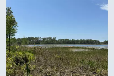 8335 Florida Boys Ranch Road, Groveland, FL 34736 - Photo 4