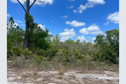 331 Tanager Avenue, Sebring, FL 33870 - Photo 2