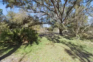 121 S Canoe Creek Rd, Kenansville, FL 34739 - Photo 40