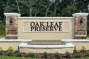 2287 Lake Preserve Cir, New Smyrna Beach, FL 32168 - Photo 34