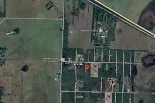 2733 Tawny Dr, Lorida, FL 33857 - Photo 4