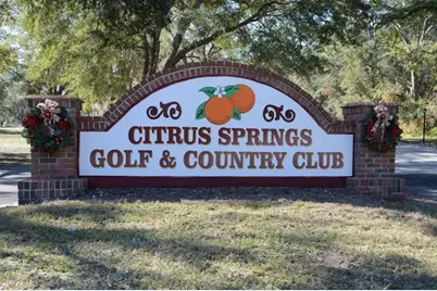 1037 W Kingsway Place, Citrus Springs, FL 34434 - Photo 6