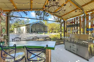 1825 Pams Way, Geneva, FL 32732 - Photo 36