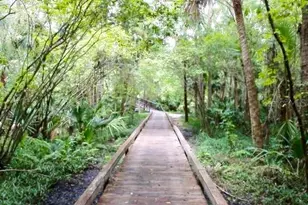 209 Sweet Gum Way, Longwood, FL 32779 - Photo 86