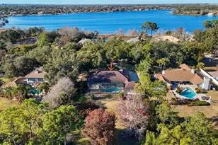 2931 Sunbittern Ct, Windermere, FL 34786 - Photo 48