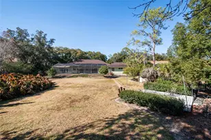 2931 Sunbittern Ct, Windermere, FL 34786 - Photo 48