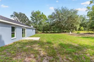 62 Malauka Radial, Ocklawaha, FL 32179 - Photo 54