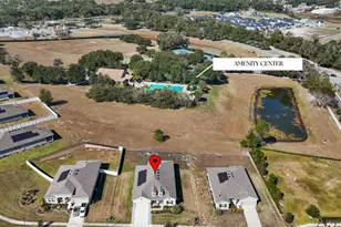 5325 Basalt Dr, Mount Dora, FL 32757 - Photo 2