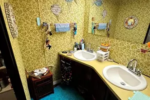 2577 Brookside Cir, Mount Dora, FL 32757 - Photo 34