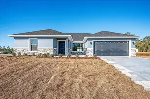 161 Bay Rd, Ocklawaha, FL 32179 - Photo 1