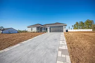 161 Bay Rd, Ocklawaha, FL 32179 - Photo 4