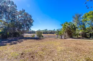 16880 SE 63rd Ln, Ocklawaha, FL 32179 - Photo 62
