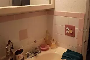 348 Lewis Blvd SE, Saint Petersburg, FL 33705 - Photo 24