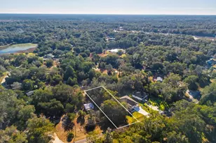 31060 Lochmore Cir, Sorrento, FL 32776 - Photo 18