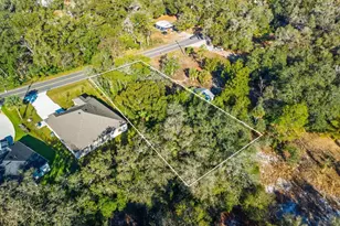 31060 Lochmore Cir, Sorrento, FL 32776 - Photo 26