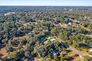 31060 Lochmore Cir, Sorrento, FL 32776 - Photo 10