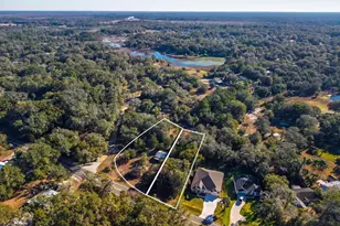 31060 Lochmore Cir, Sorrento, FL 32776 - Photo 12