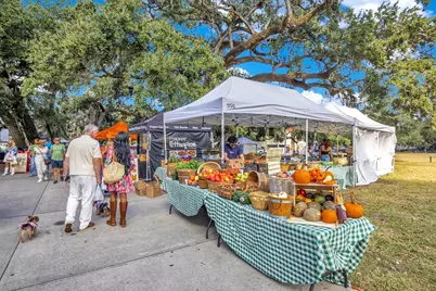 1004 E Robinson, Orlando, FL 32801 - Photo 40