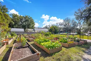 1004 E Robinson, Orlando, FL 32801 - Photo 32