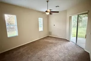 6224 Zane Dr, Mount Dora, FL 32757 - Photo 8