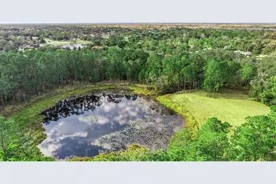 1055 Brumley Road, Chuluota, FL 32766 - Photo 48