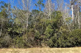 Netherland St, Orlando, FL 32833 - Photo 1