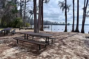 2220 Kildare Dr, Chuluota, FL 32766 - Photo 72