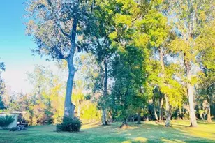 5141 Magnolia Ridge Rd, Fruitland Park, FL 34731 - Photo 12