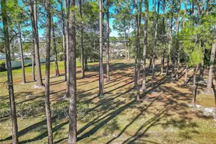 11451 Fangorn Rd, Orlando, FL 32825 - Photo 50