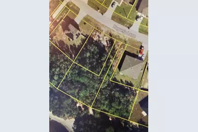 244 Begonia Lane, Kissimmee, FL 34759 - Photo 2