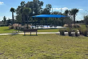 13185 Blossom Valley Dr, Clermont, FL 34711 - Photo 50