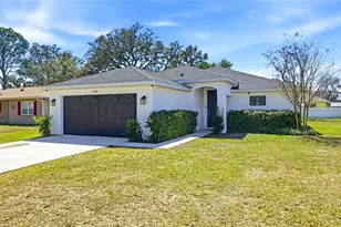 8452 Dorsey St, Spring Hill, FL 34608 - Photo 2