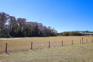 31631 Broadwater Ave, Leesburg, FL 34748 - Photo 4