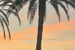 411 St George Dr, Davenport, FL 33837 - Photo 52