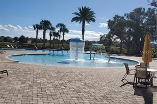 15262 Night Heron Dr, Winter Garden, FL 34787 - Photo 42