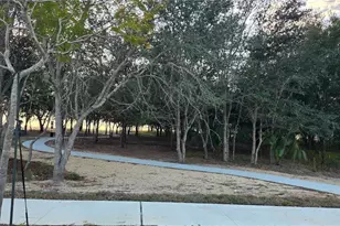 460 Free Range Dr, Groveland, FL 34736 - Photo 16