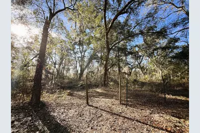 7750 156th Terrace, Live Oak, FL 32060 - Photo 34