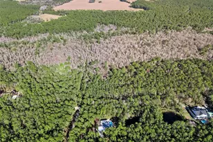 3441 Hickory Creek Rd, Deltona, FL 32738 - Photo 58