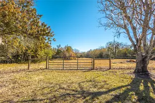 3355 Henry J Ave, Saint Cloud, FL 34772 - Photo 14