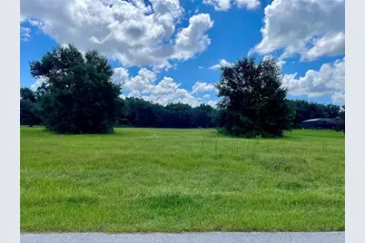 18340 Great Blue Heron Drive, Groveland, FL 34736 - Photo 6