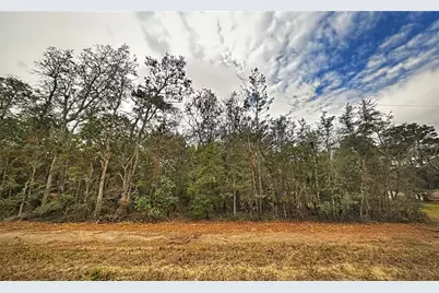 0 Usina Avenue, Interlachen, FL 32148 - Photo 2