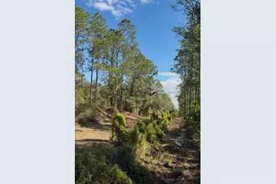 923 Gaillardia Drive, Indian Lake Estates, FL 33855 - Photo 6